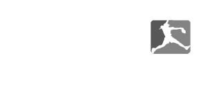 High School softball Network, Inc